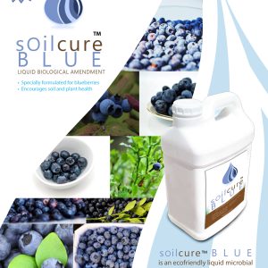 SoilCure for Blueberries 
TechSheet