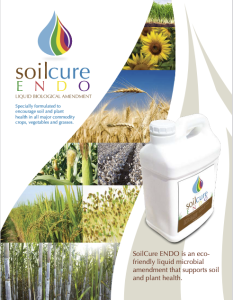 SoilCure-ENDO-Techsheet