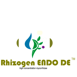Rhizogen ENDO DE™